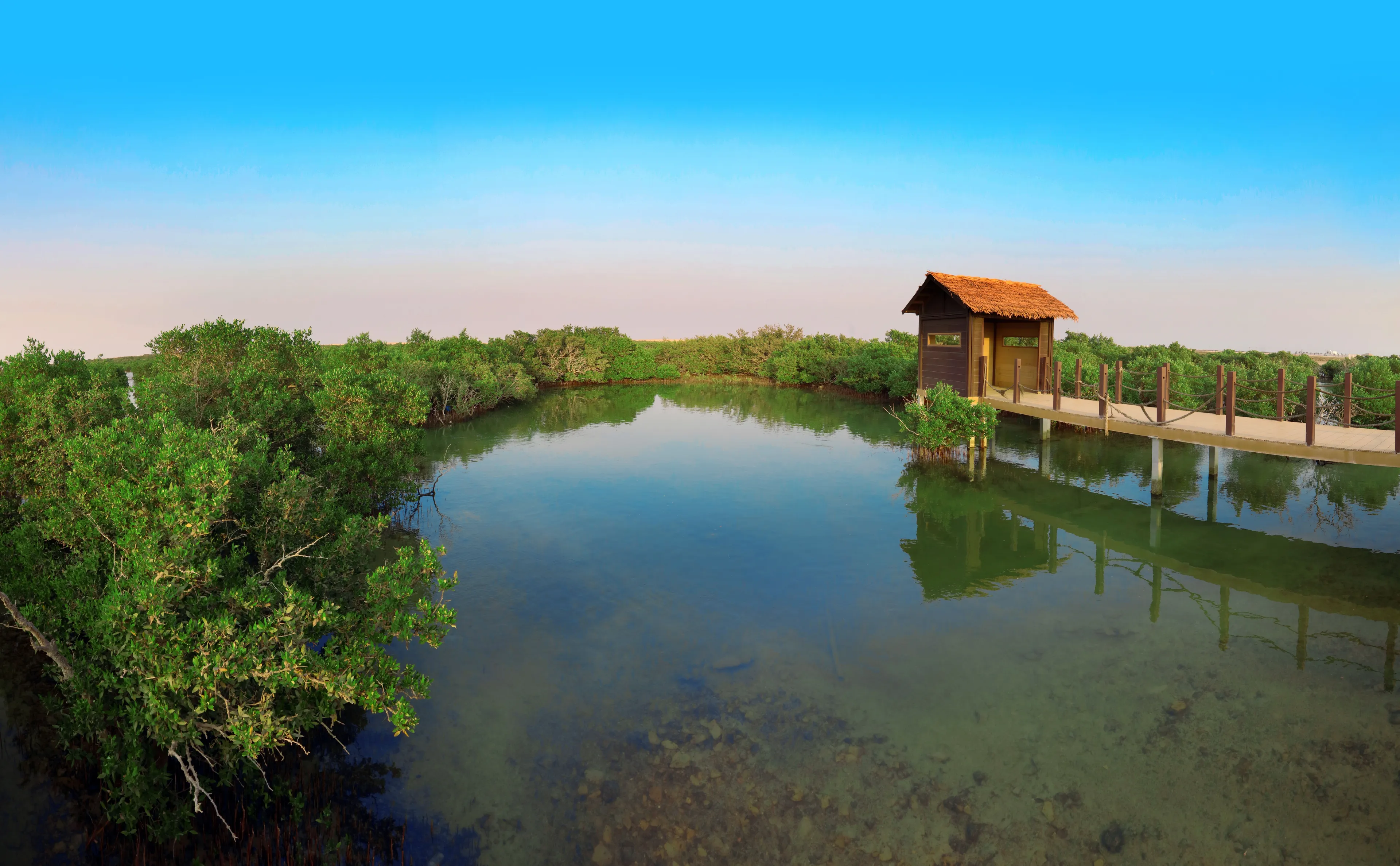 View in Al Khor