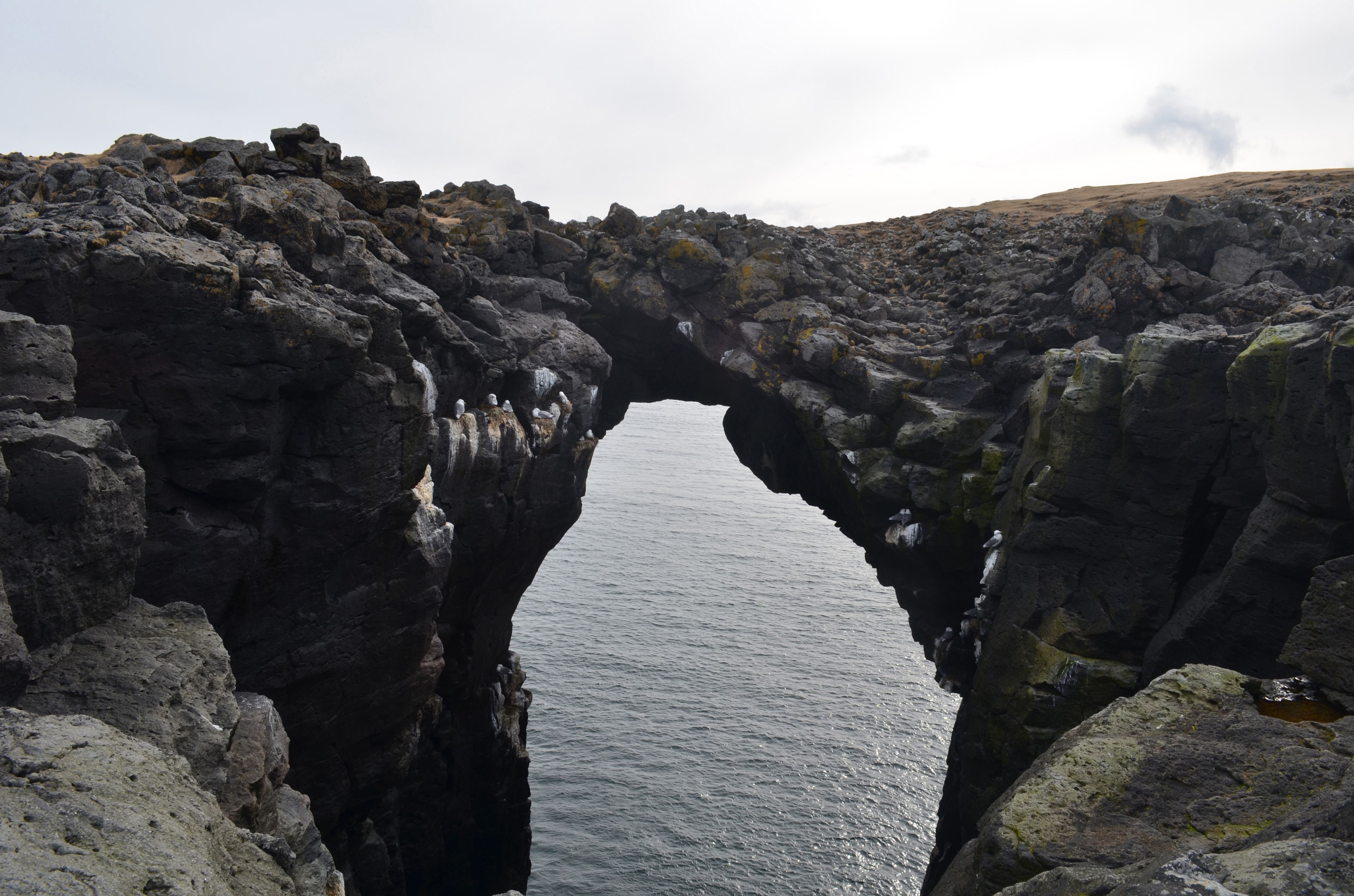 Snæfellsnes Peninsula Adventure: Iceland's Iconic Loop from Borgarnes