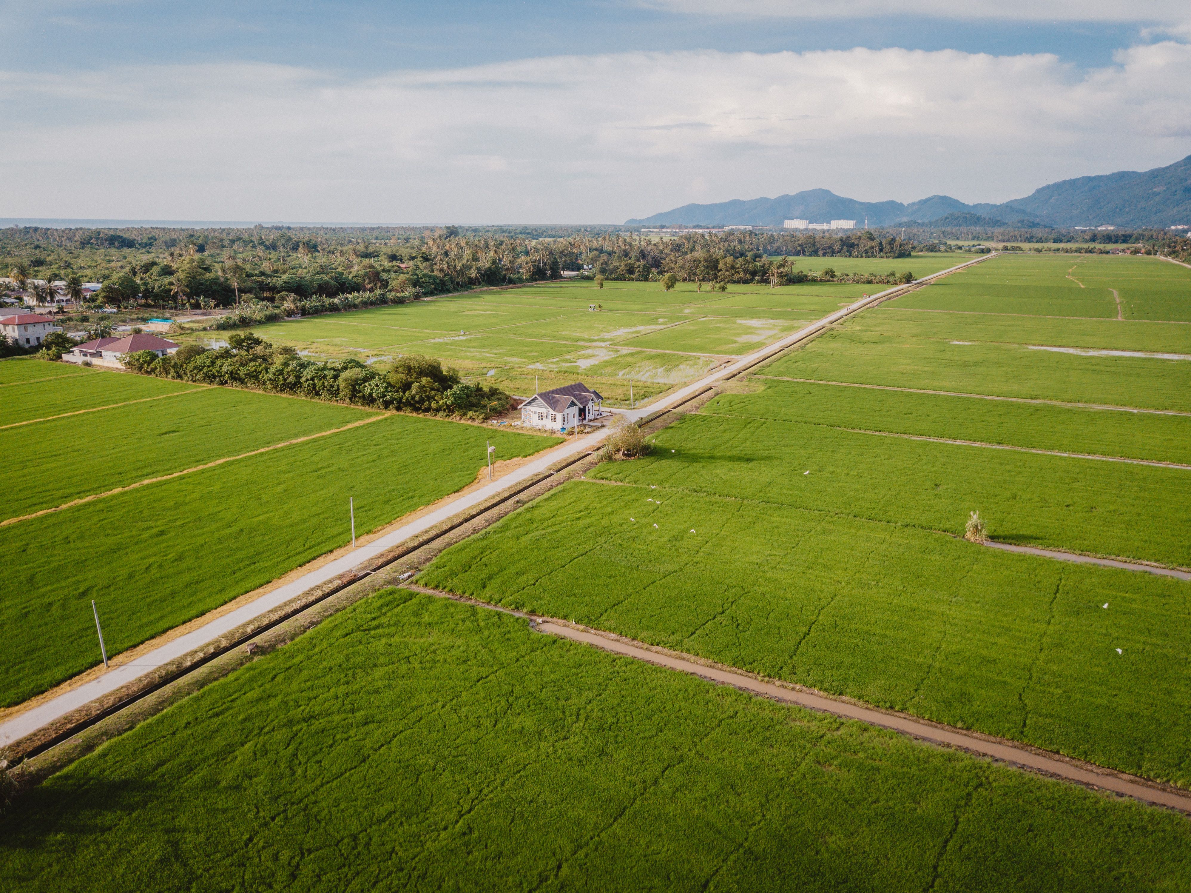 View in Balik Pulau, Malaysia