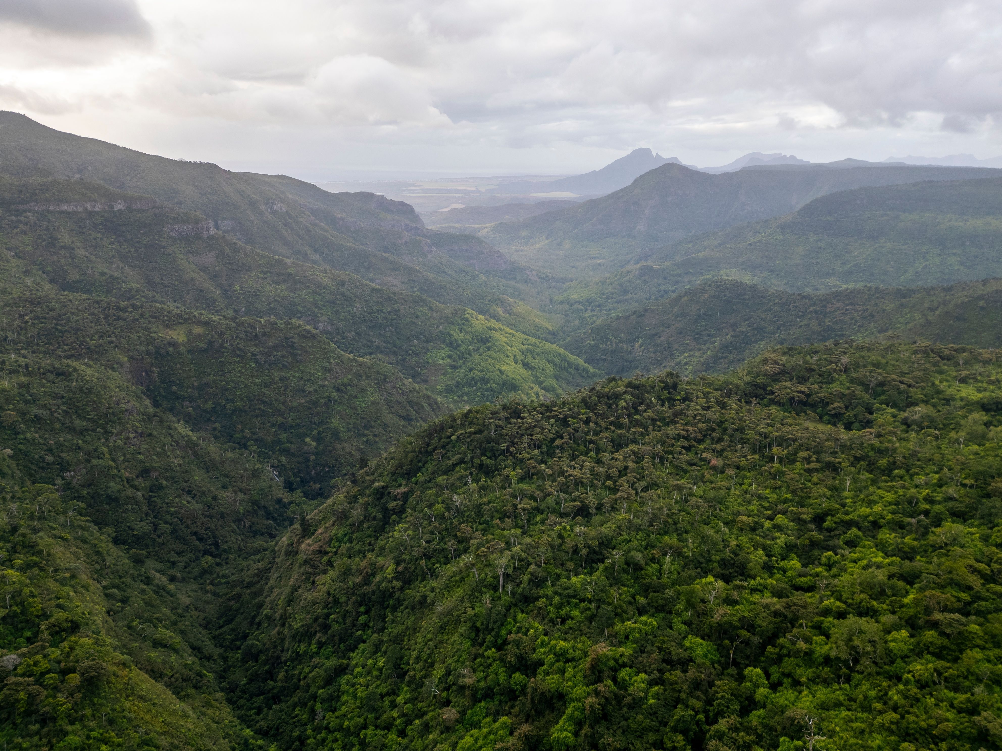 View in Black River Gorges National Park