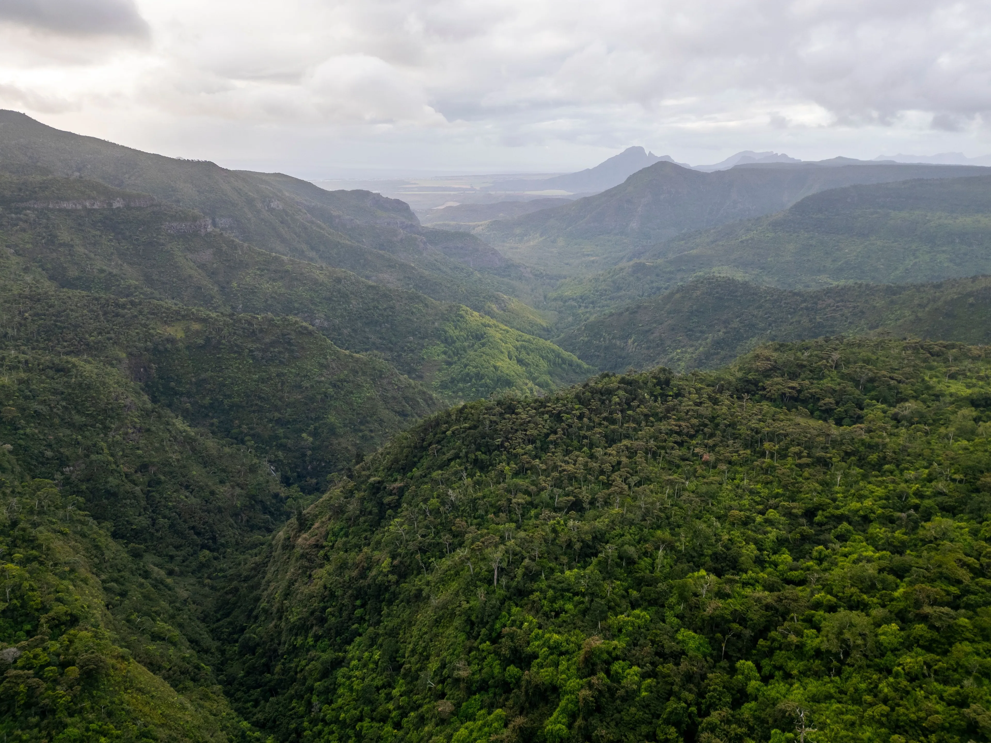 View in Black River Gorges National Park