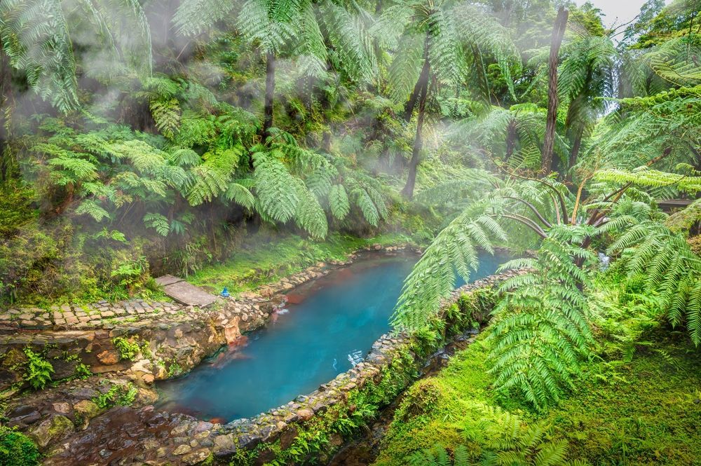 View in Caldeira Velha Hot Springs