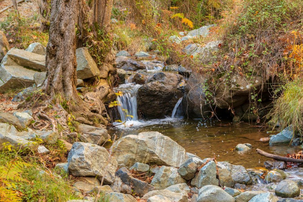 View in Caledonia Waterfall Trail, Platres