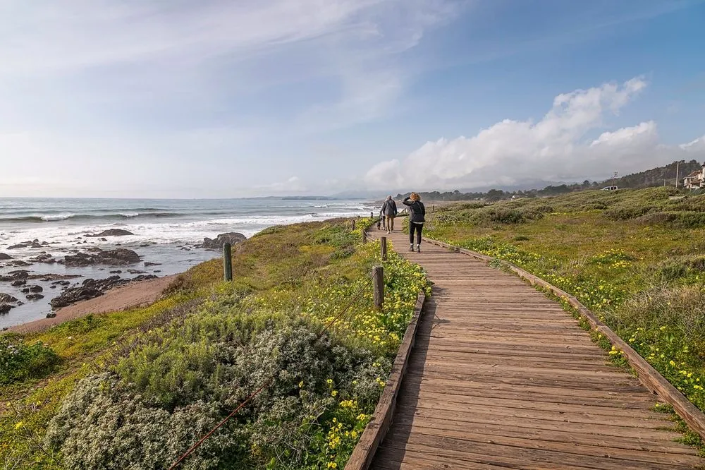 View in Cambria