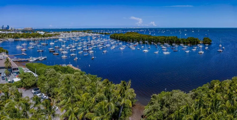View in Coconut Grove