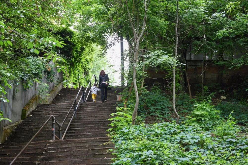 View in Cotroceni Neighborhood