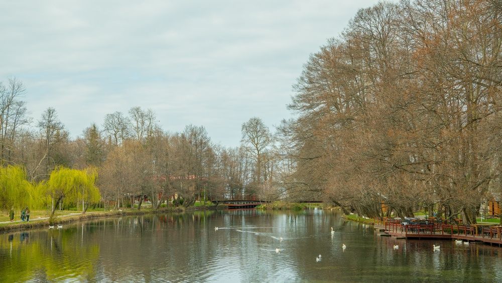 View in Drilon Springs & Pogradec Lakefront