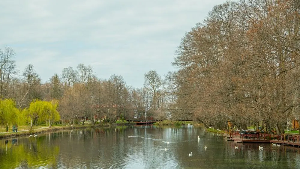 View in Drilon Springs & Pogradec Lakefront