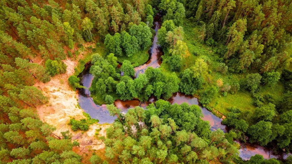 View in Zervynos Village, Dzūkija National Park