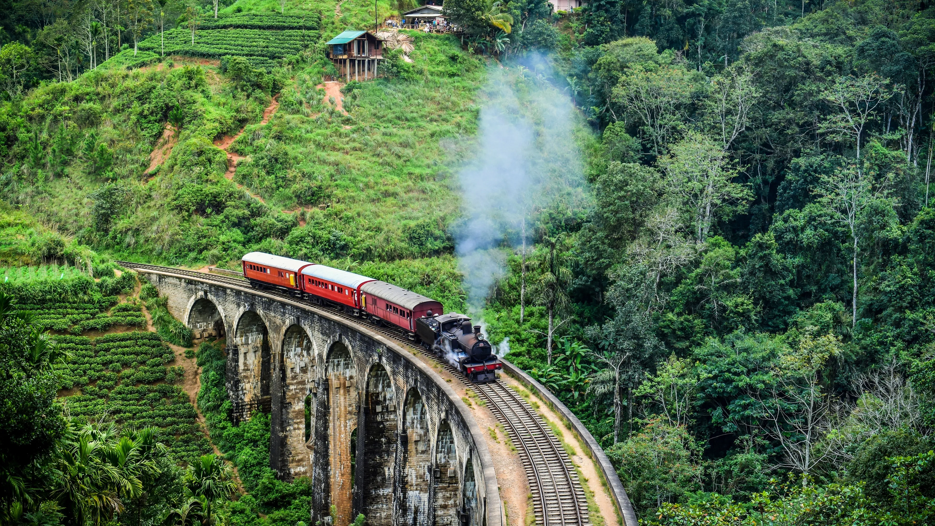 Sri Lanka Heritage and Nature Road Trip Adventure