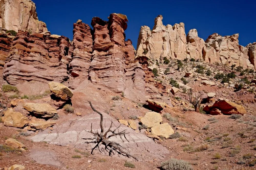 View in Escalante Utah USA