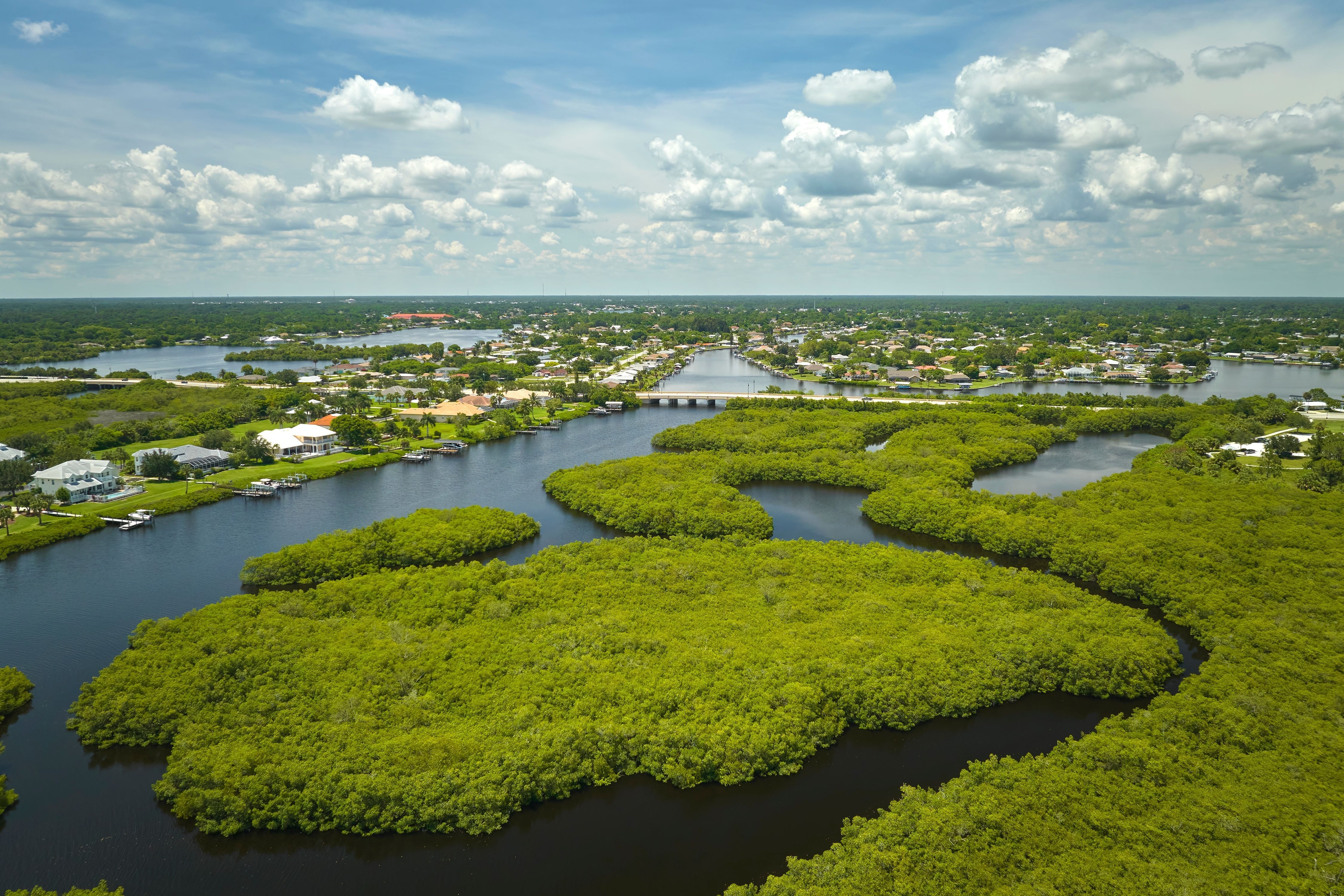 View in Everglades