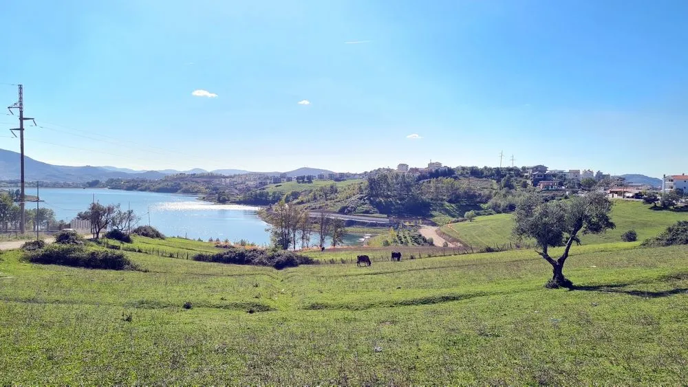 View in Farka Lake