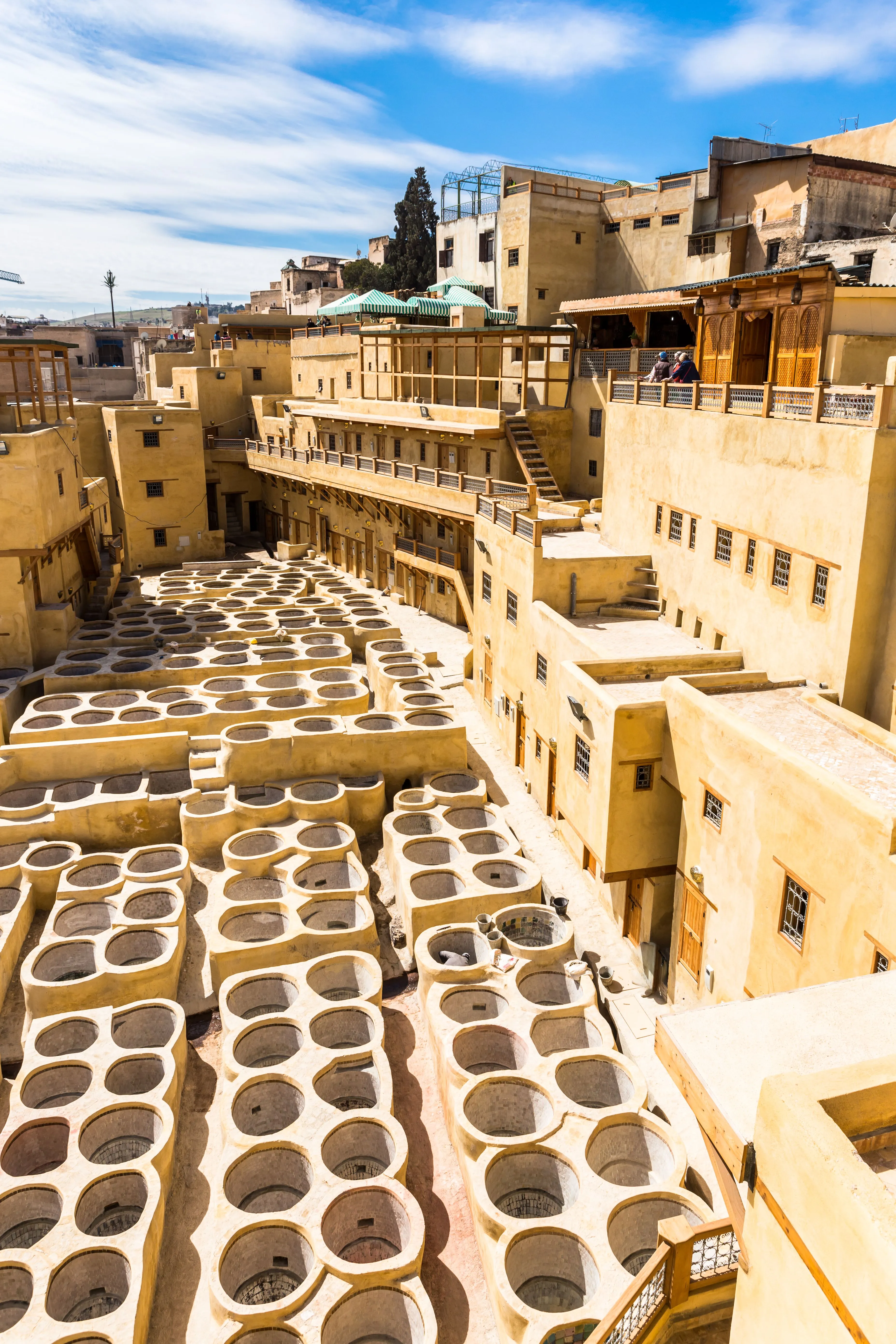 View in Fez