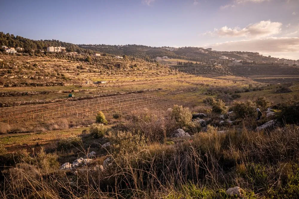 View in Fuheis Town