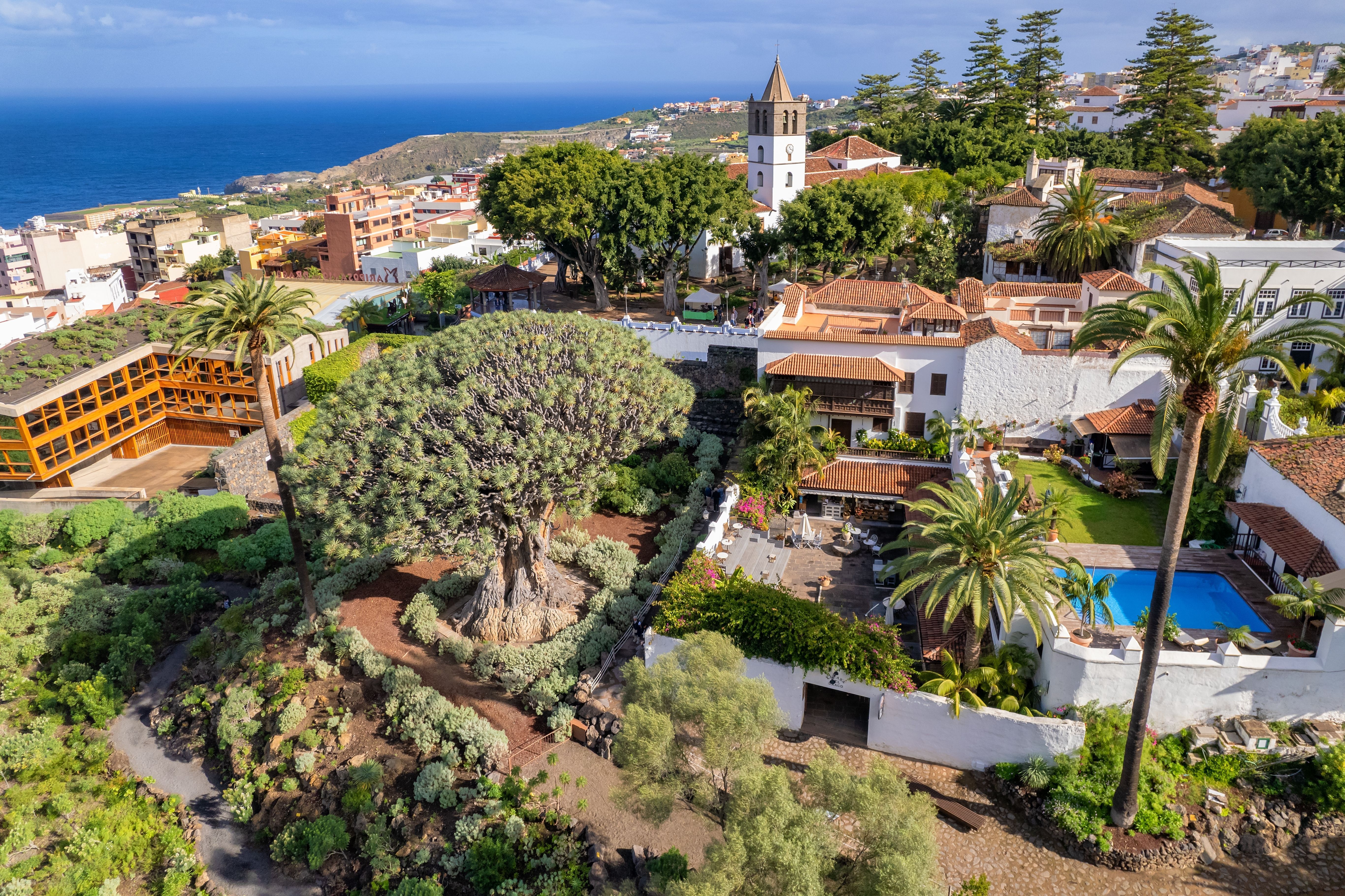 View in Icod de los Vinos