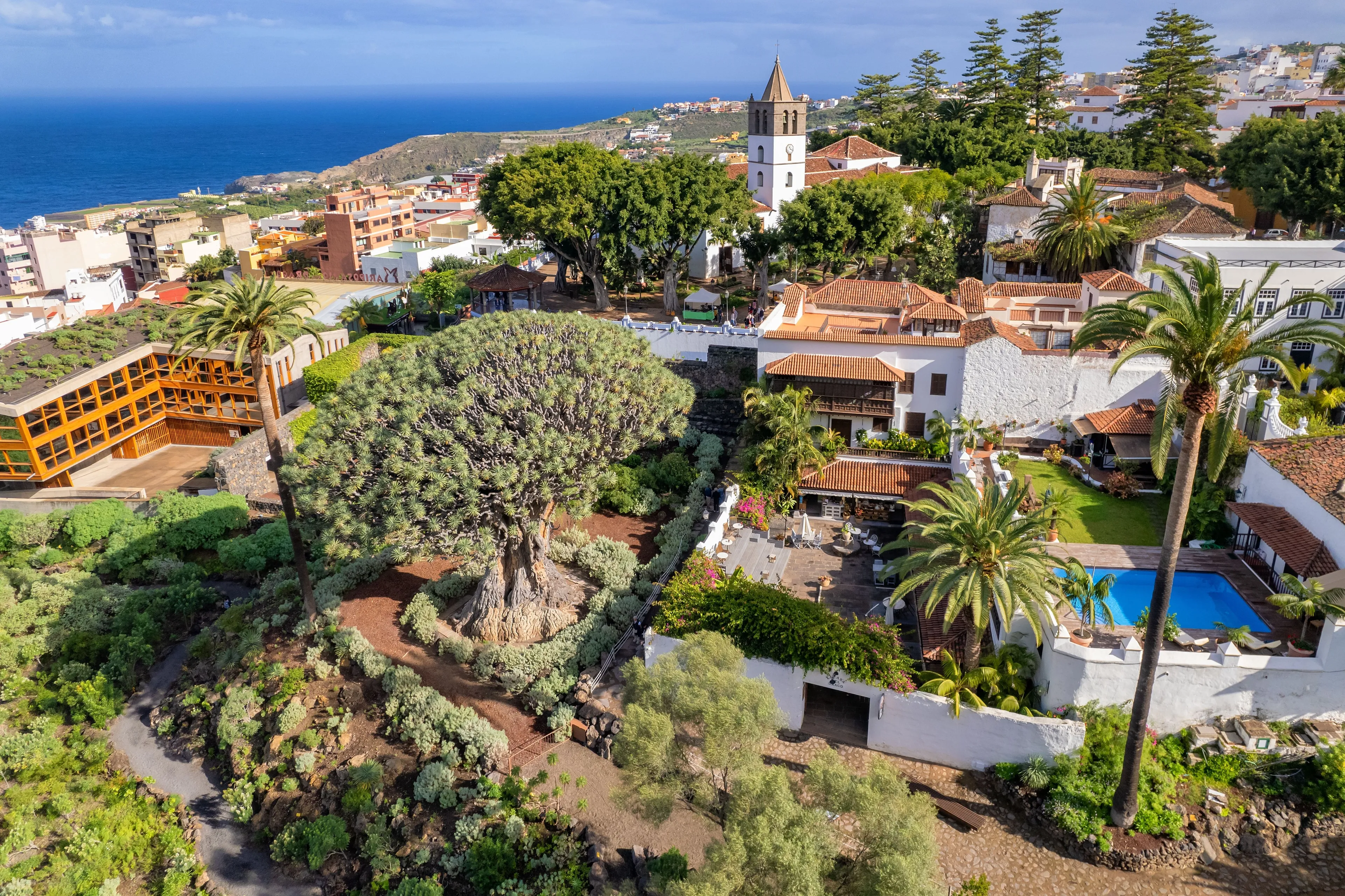 View in Icod de los Vinos