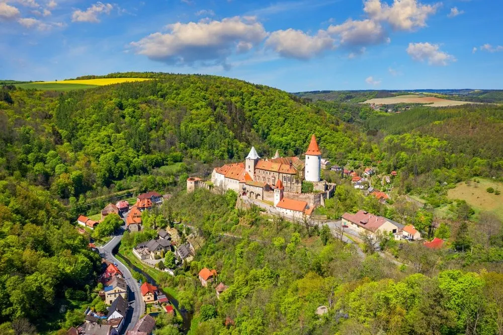 View in Krivoklat Forest Area