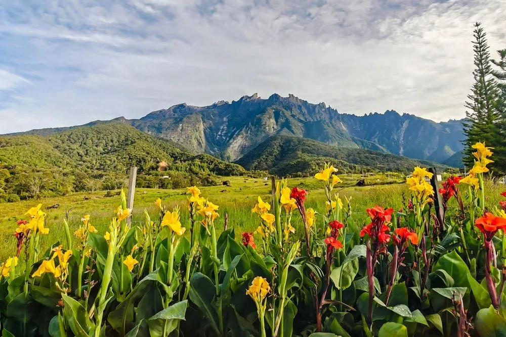 View in Kundasang