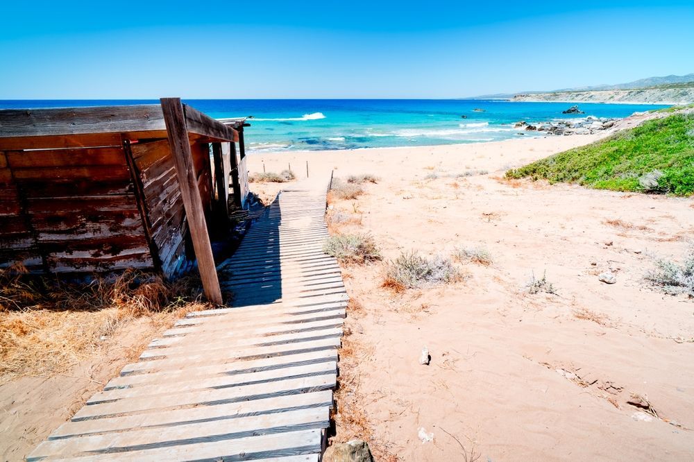 View in Lara Bay Turtle Beach