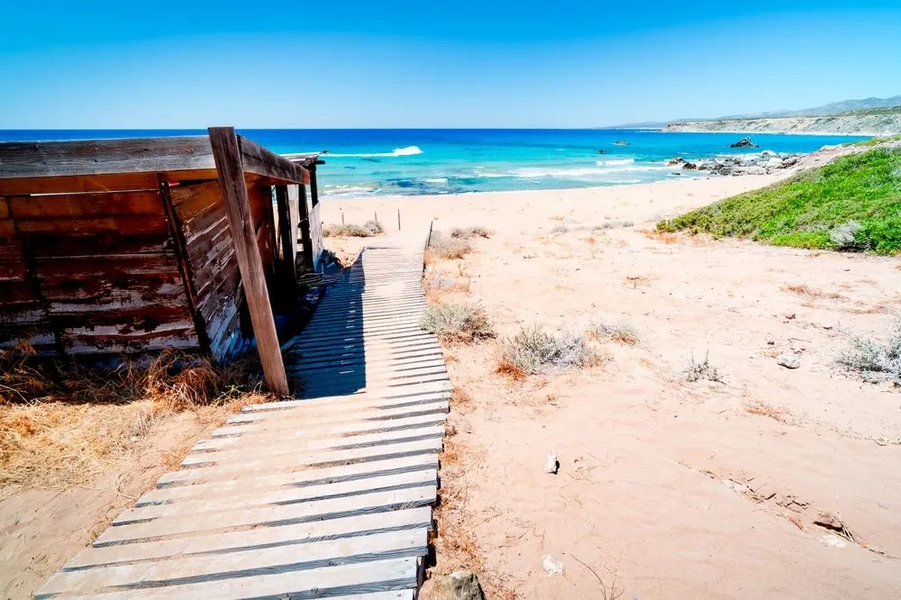 View in Lara Bay Turtle Beach