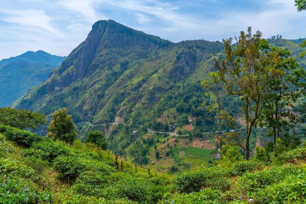 View in Little Adam's Peak, Ella