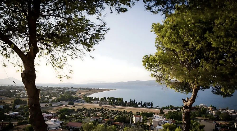 View in Marathon Village