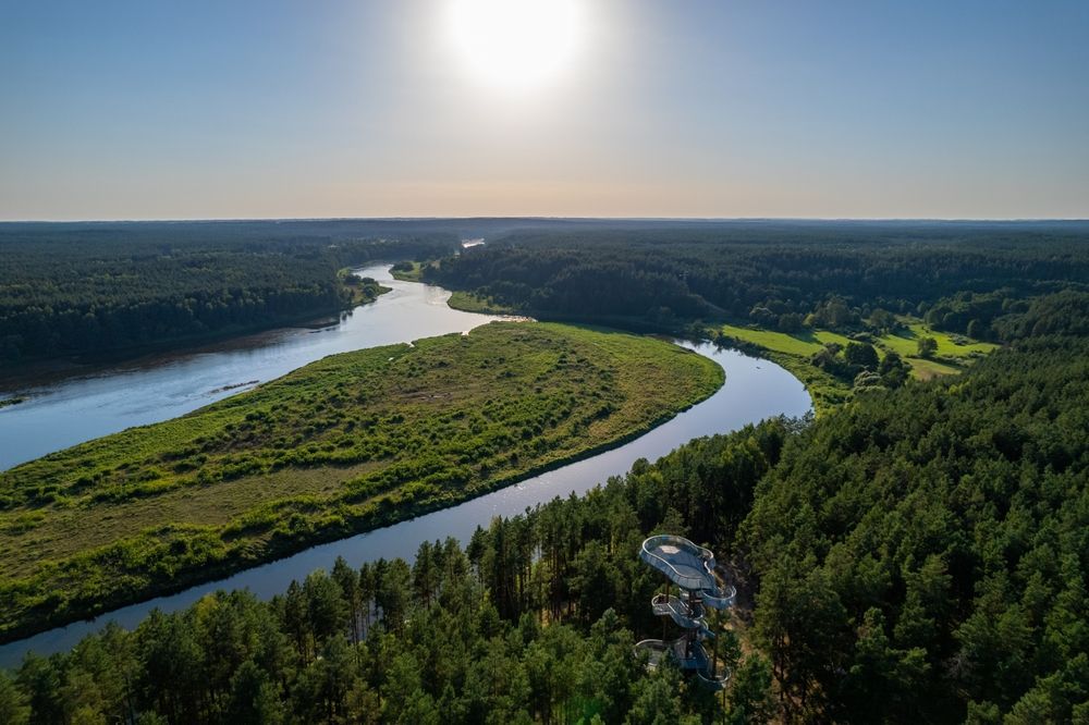 View in Merkinė Observation Tower