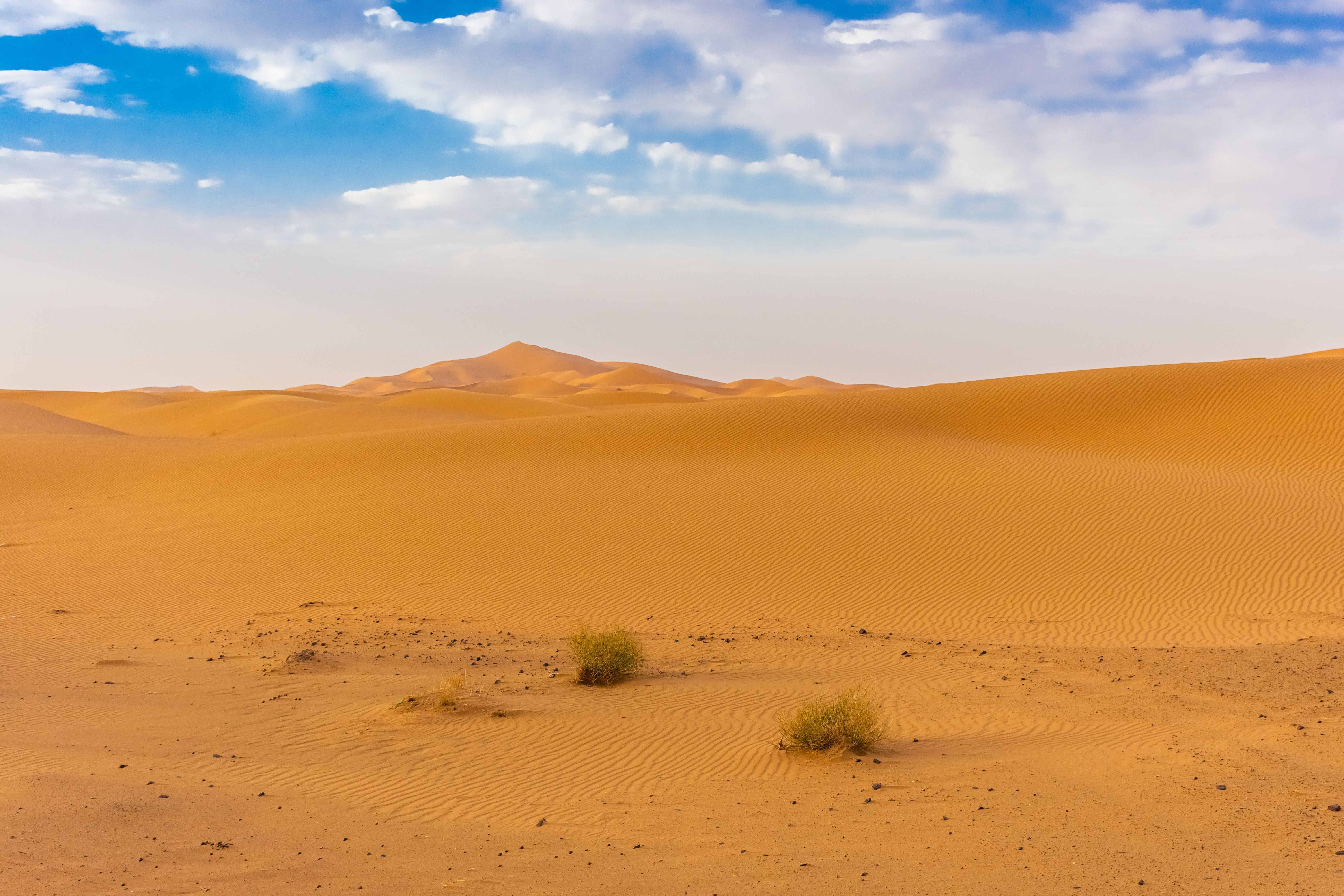 View in Merzouga (Erg Chebbi Dunes)