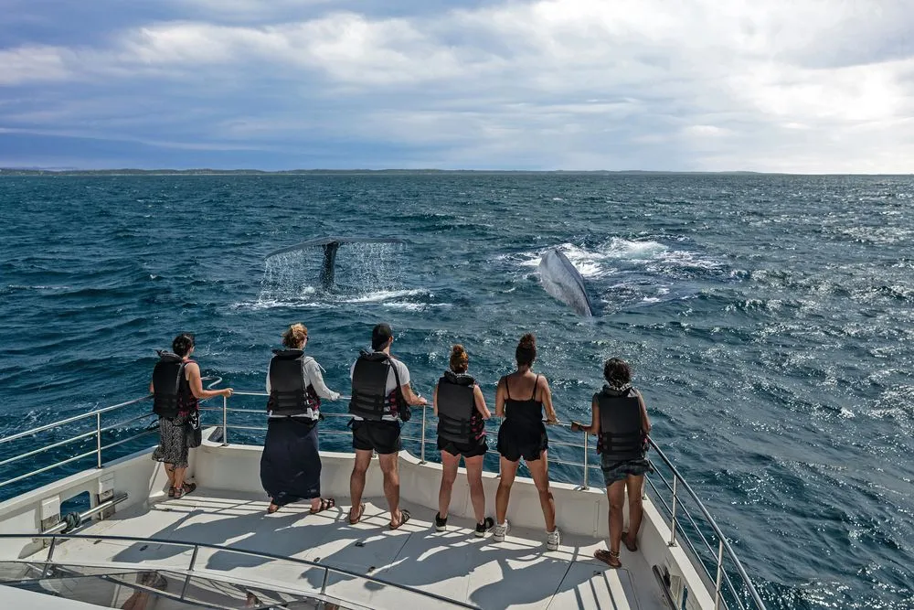 View in Mirissa & Whale Watching
