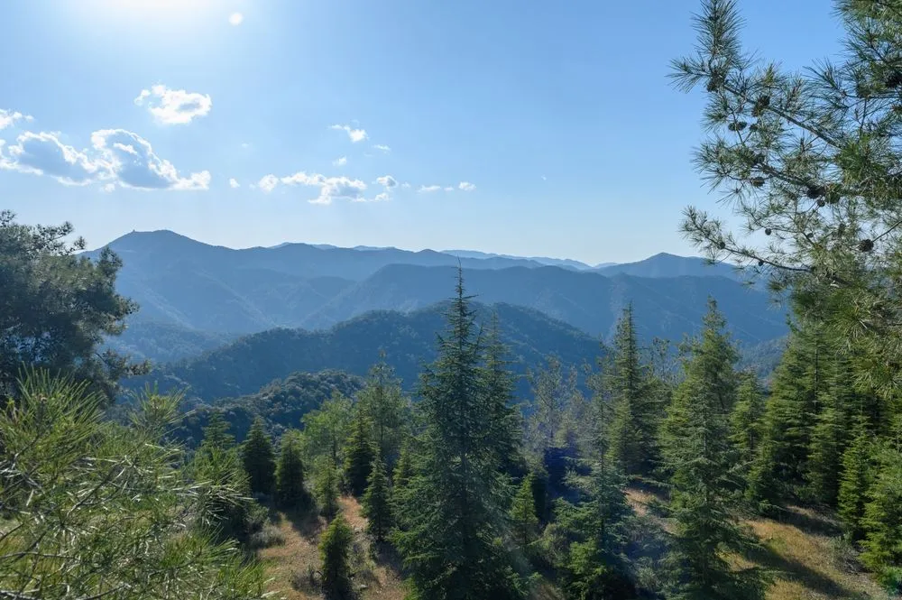 View in Mount Olympus Summit