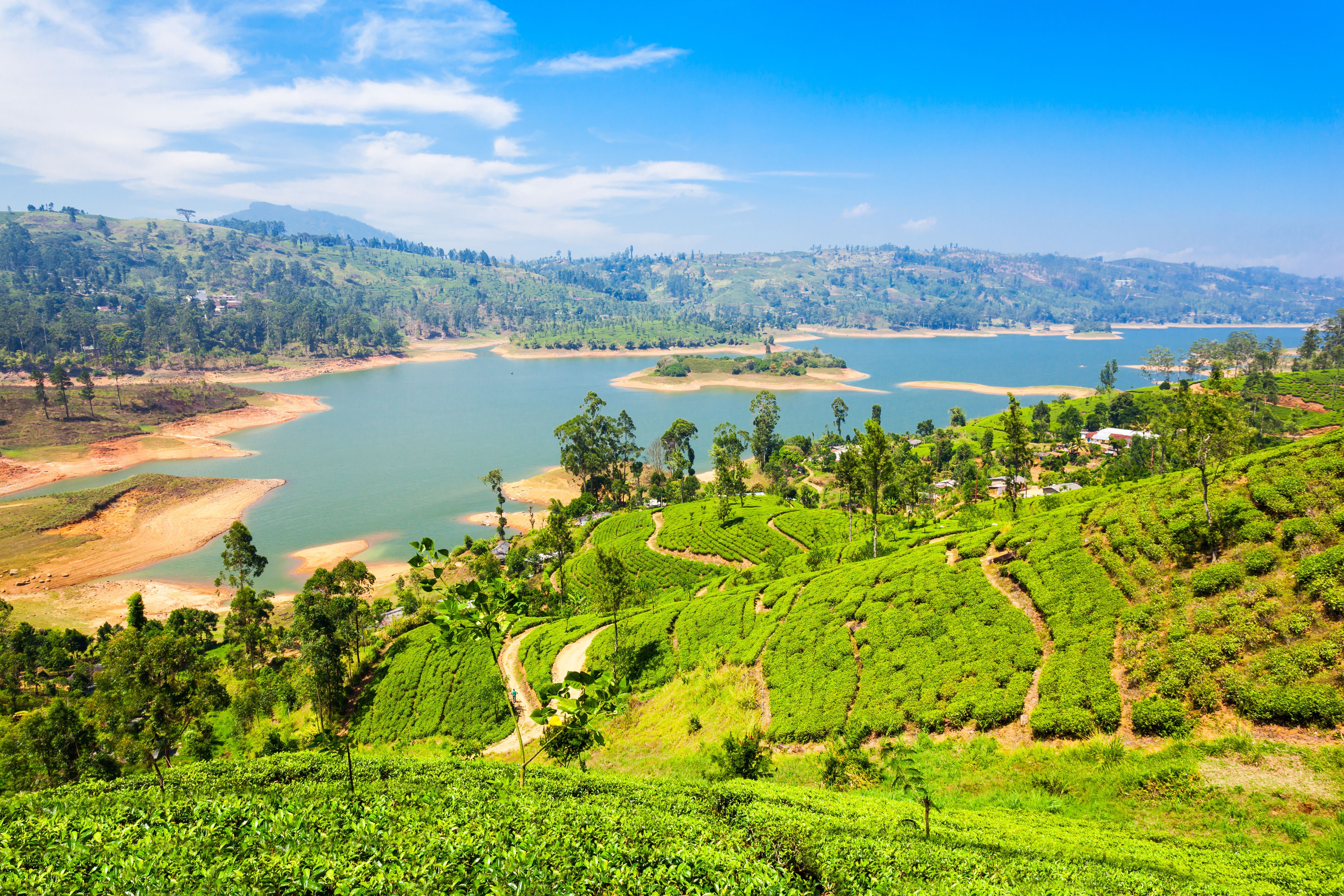 View in Nuwara Eliya