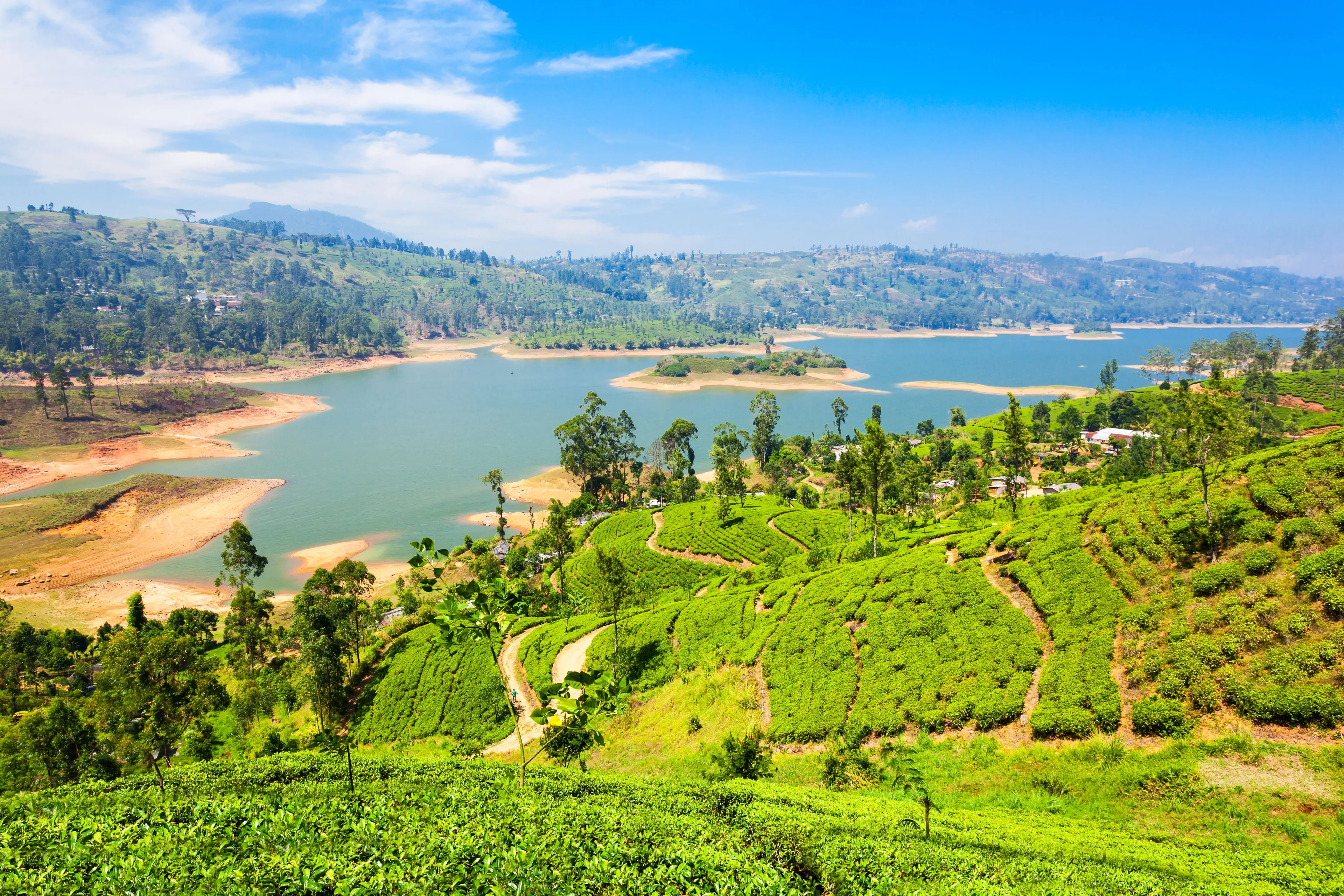 View in Nuwara Eliya