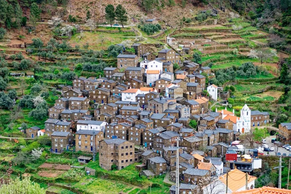 View in Piodao