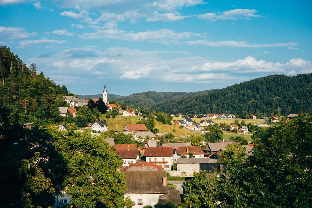 View in Polhov Gradec Area