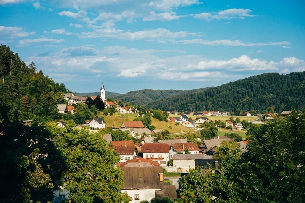 View in Polhov Gradec Area