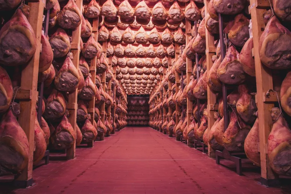 View in Prosciutto Cellars, Langhirano