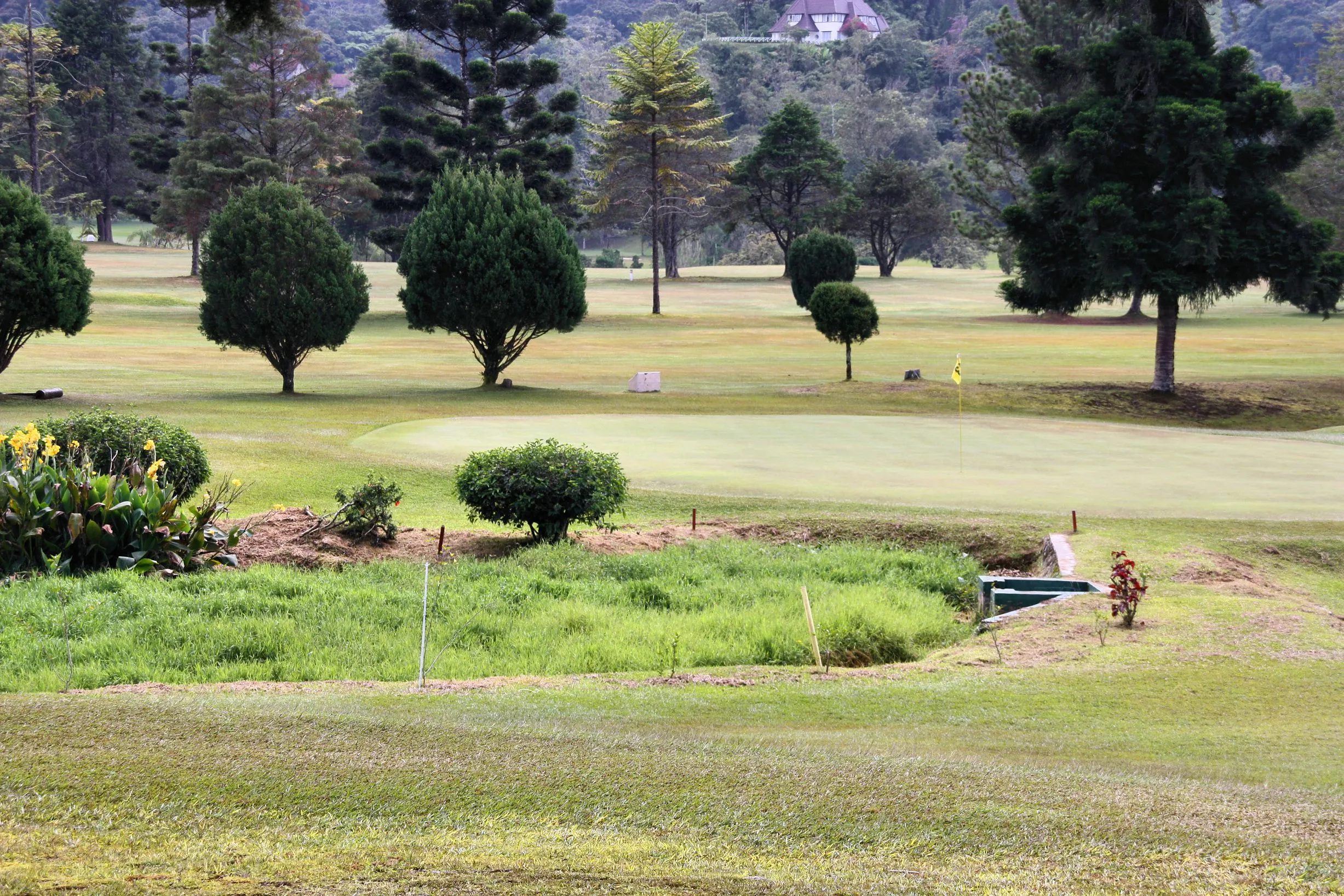 View in Tanah Rata