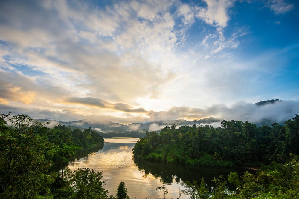 View in Ulu Langat Nature Area