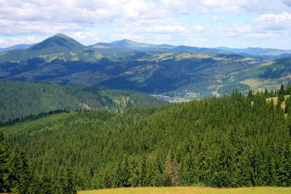 View in Vatra Dornei