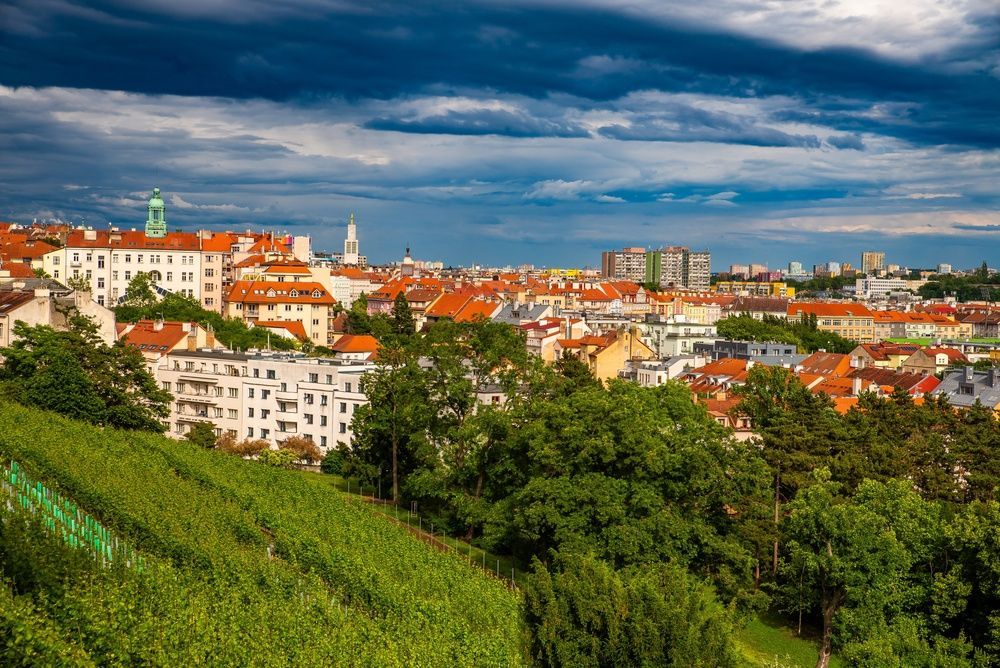 View in Vinohrady Neighborhood