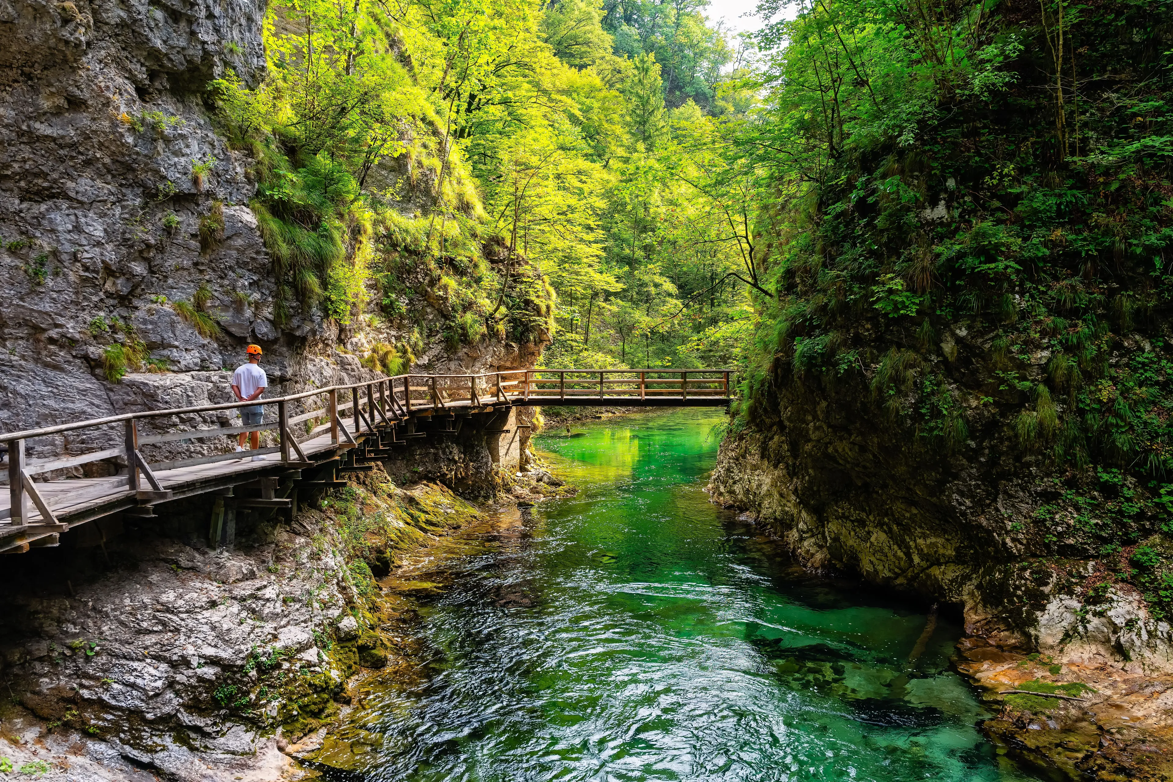 View in Vintgar Gorge