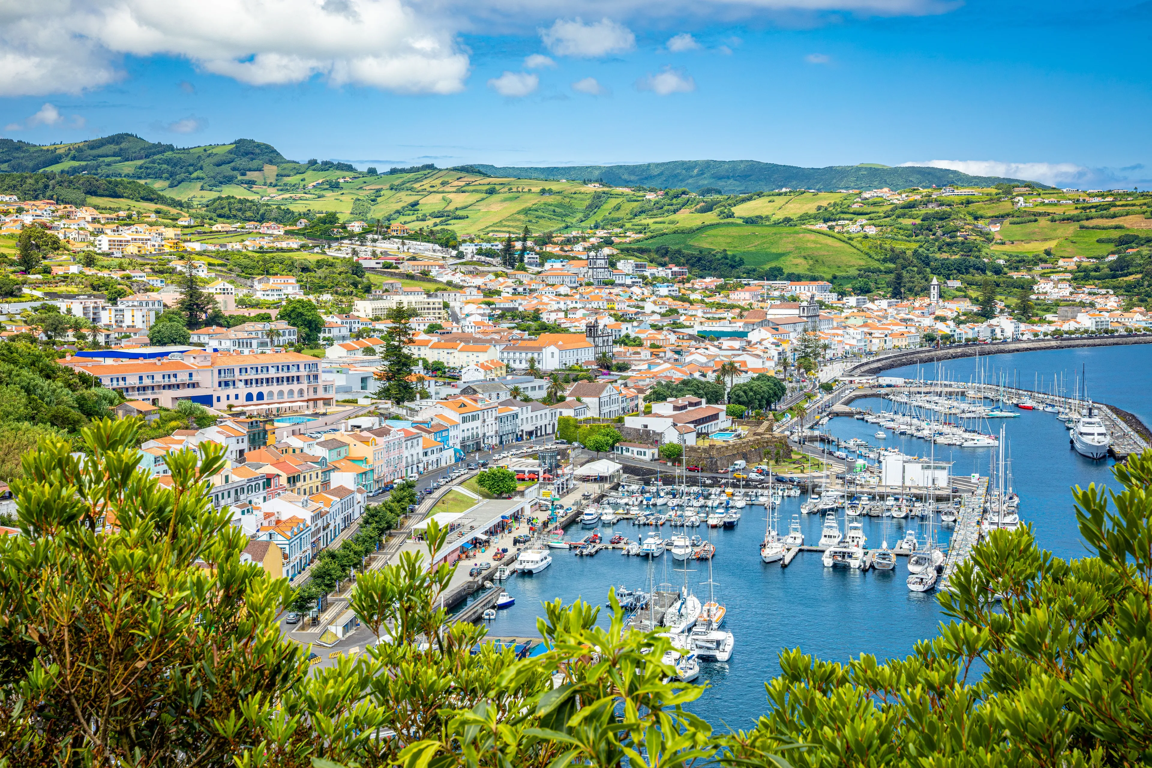 Car Rental in faial-island for Next Month