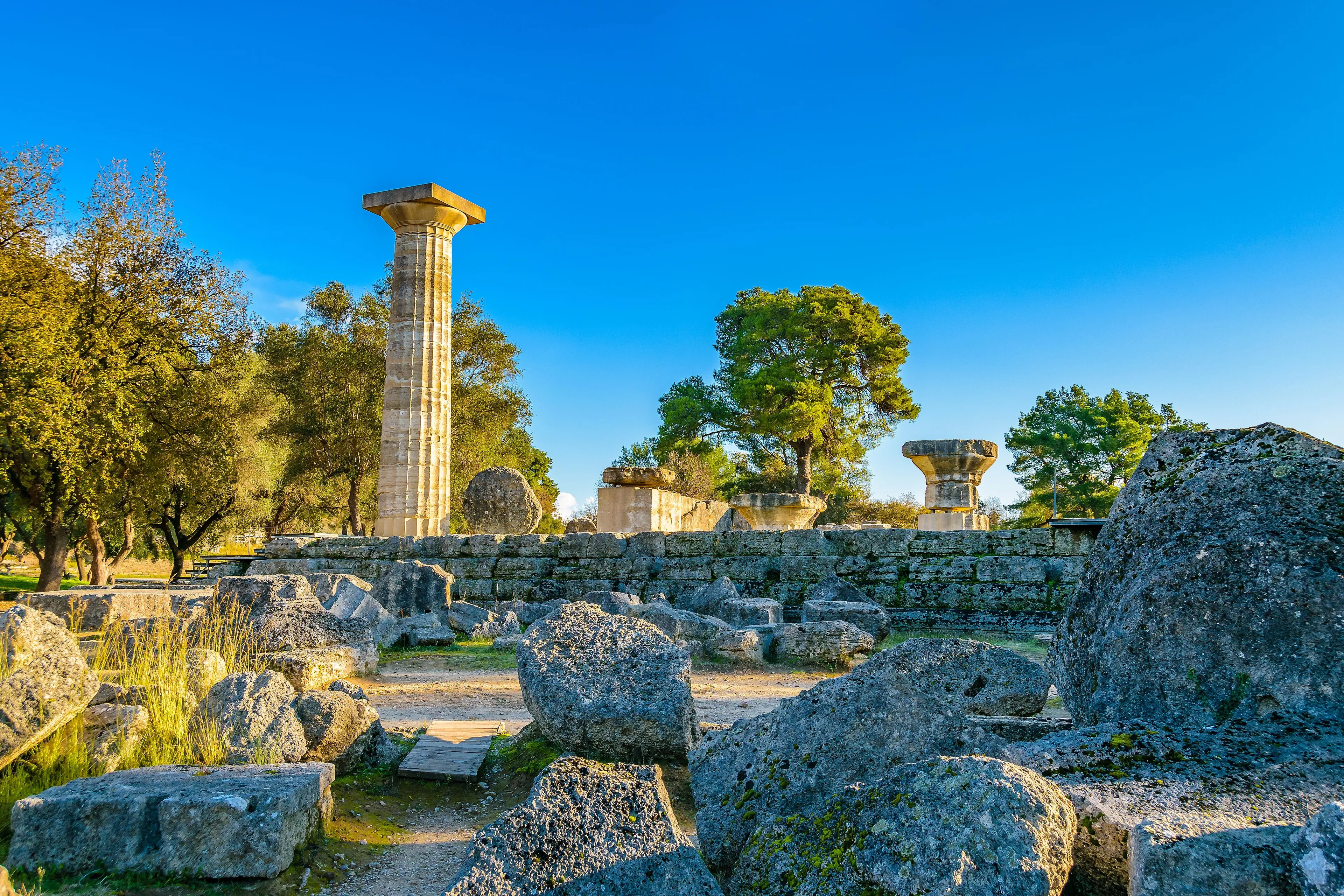 View in Olympia