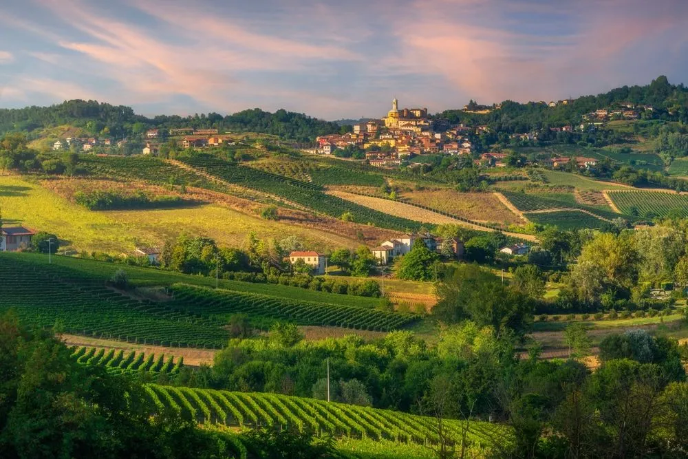 View in Barolo & the Langhe Vineyards